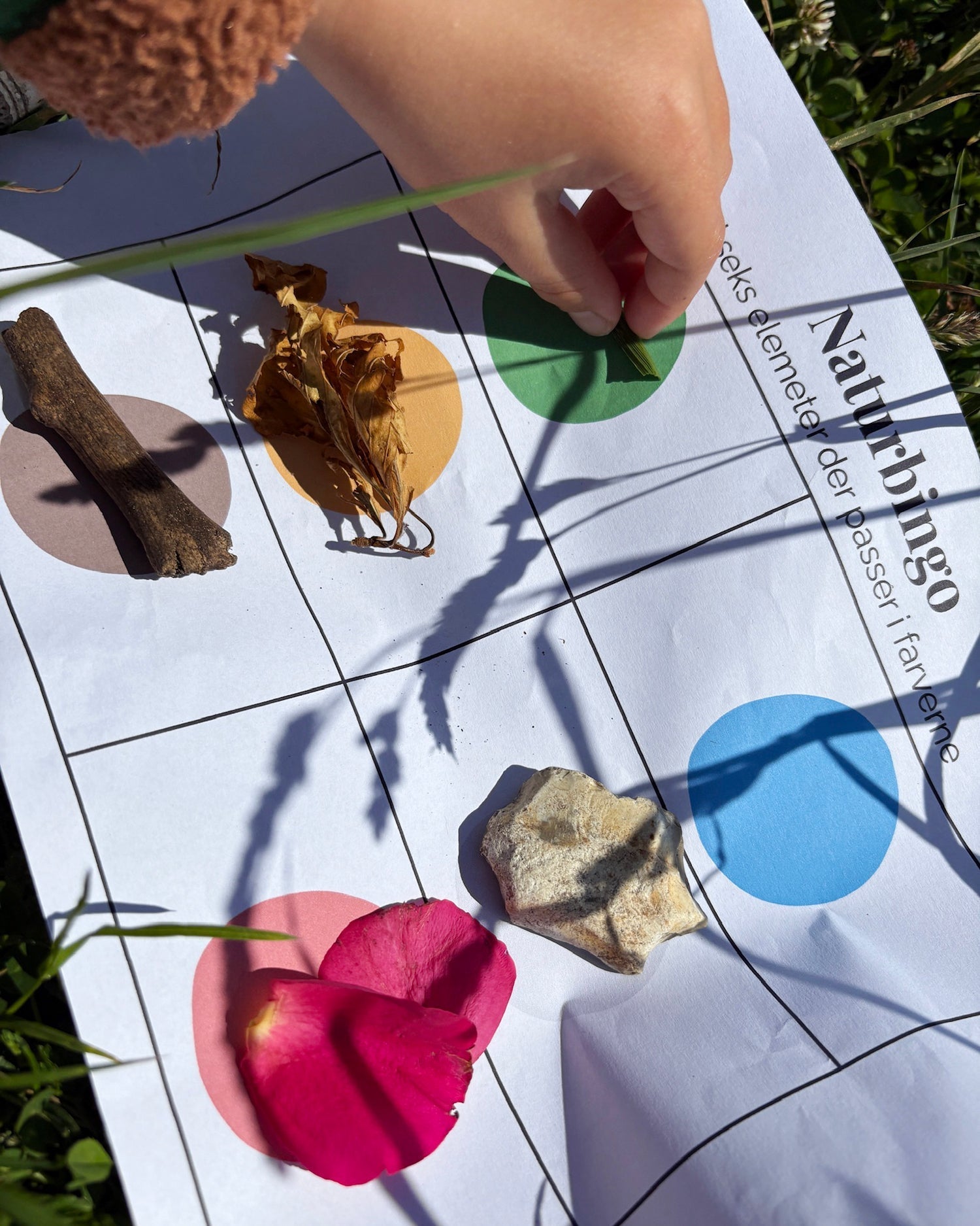 Bette Guides: Naturbingo