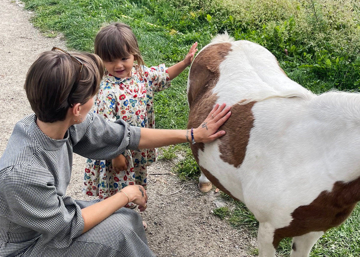Barn og voksen aer en pony på en besøgsgård.